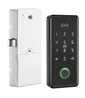 TTL MULTI-LOCKER